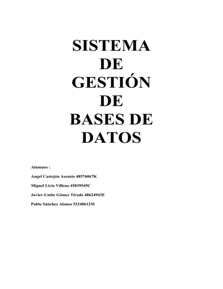 Sistema De Gesti N De Bases De Datos