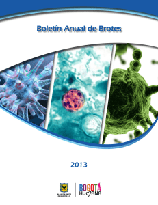 Boletín Brotes Anual 2013 - Secretaría Distrital de Salud