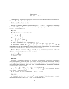 Algebra Lineal Taller N"3 con Matlab Tema: Espacios vectoriales y