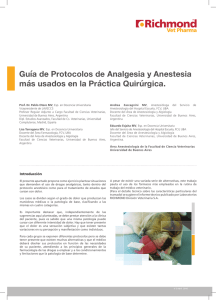 Guía de Protocolos de Analgesia y Anestesia más usados en la