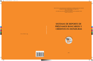 Sistemas de Reporte de Préstamos Bancarios y Créditos en Honduras
