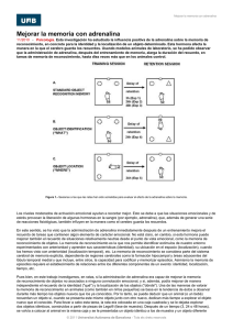 Mejorar la memoria con adrenalina