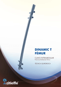 DINAMIC T FEMUR Brochure