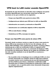 VPN host-to-LAN router usando OpenVPN