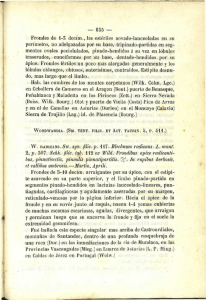 W . RADICANS. Sw. syn. filie, p. 117. Blechnum radicans. L. mant`. 2