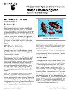 PDF En Español Cucarachas Americanas