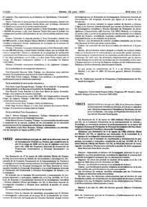 PDF (BOE-A-1993-19022 - 1 pág. - 134 KB )