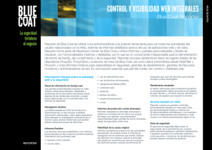 CONTROL Y VISIBILIDAD WEB INTEGRALES