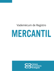 Vademécum de Registro Mercantil