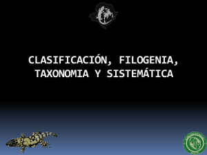clasificación, filogenia, taxonomia y sistemática