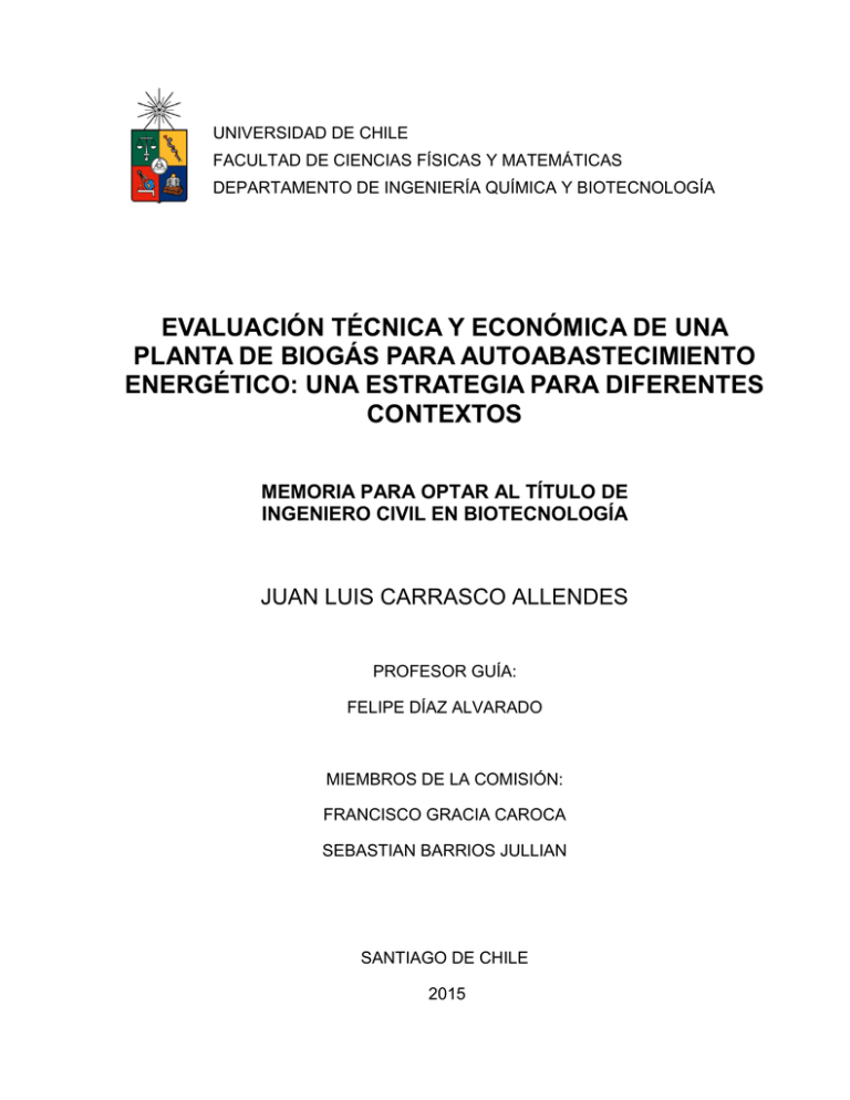 Evaluacion Tecnica Y Economica De Una Planta De