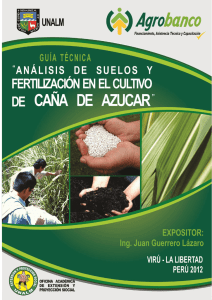 análisis de suelos y fertilización en el cultivo