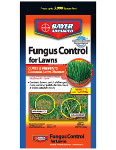 Fungus Control - Bayer Advanced