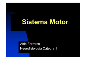 Ferreres - Teórico 6 Sistema Motor 2015