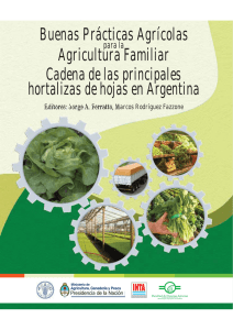 Buenas Prácticas Agrícolas para Agricultura Familiar Cadena de las