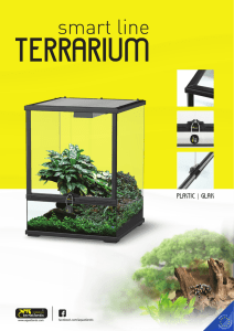 smart line terrarium