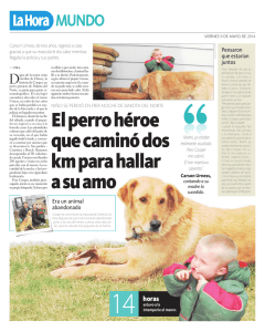 El perro héroe que caminó dos km para hallar a su amo