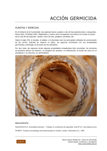91 Acción germicida: plantas y especias PDF