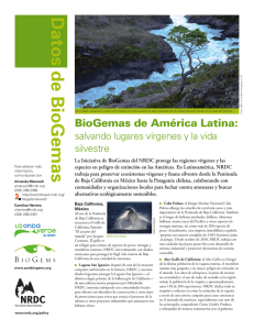NRDC: BioGemas de América Latina: Salvando lugares vírgenes y