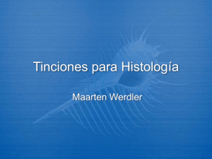 Catálogos de Cortes Histológicos