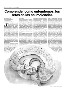 los retos de las neurociencias - Academia de Ciencias de Morelos