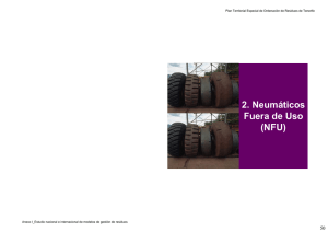 2. Neumáticos Fuera de Uso (NFU)