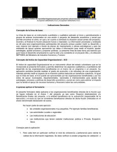 Indicaciones Generales para instrumento de Línea Base – ICO.