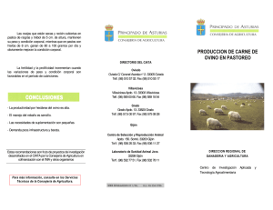 produccion de carne de ovino en pastoreo