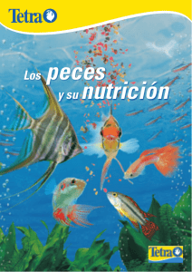 Los peces y su nutrición - Actiweb crear paginas web gratis