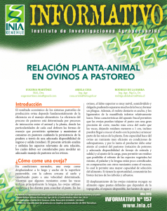 relación planta-animal en ovinos a pastoreo