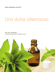 Stevia rebaudiana o Caá heé, alternativa como edulcorante.