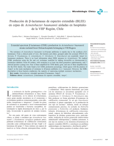 Producción de β-lactamasas de espectro extendido (BLEE) en