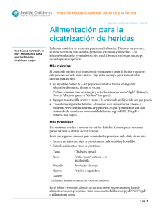 PE2115S Nutrition for Wound Healing - Spanish