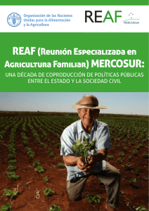 REAF (Reunión Especializada en Agricultura Familiar) MERCOSUR