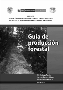 Guía de producción forestal
