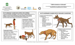 5º y 6º prevención mordeduras - actividad