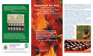 Seasons of the Soul™