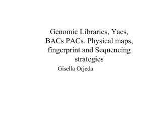 Genomic Libraries, Yacs, BACs PACs. Physical maps