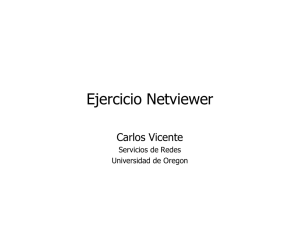 Ejercicio Netviewer