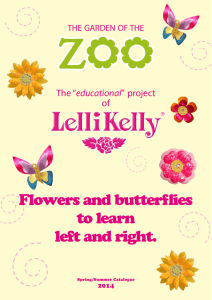 Flowers and butterflies to learn left and right.