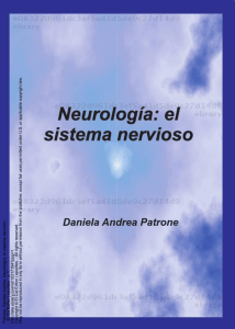 P atrone , Daniela Andrea. Neurología: el sistema nervioso . : El Cid