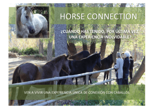 ven a vivir una experiencia única de conexión con caballos