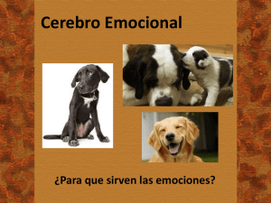Cerebro Emocional - Como Educar un Perro