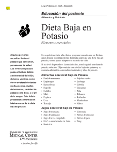 Dieta Baja en Potasio - Health Online