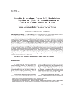 Detección de b-Amiloide, Proteína TAU Hiperfosforilada y Ubiquitina