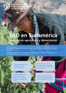 FAO en Sudamérica: Desafíos en agricultura y alimentación
