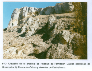 F-1.- Cretácico en el anticlinal de Andaluz. a) Formación Calizas