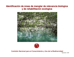 Identificación de áreas de manglar de relevancia biológica y de