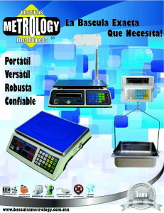 0 - Basculas Metrology