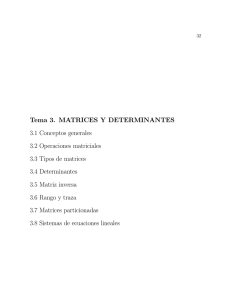 Tema 3. MATRICES Y DETERMINANTES 3.1 Conceptos generales